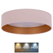 Brilagi - LED Lubinis šviestuvas VELVET STAR LED/24W/230V d. 40 cm 3000K/4000K/6400K rožinis/aukso