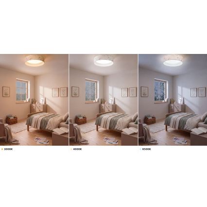 BRILAGI - LED lubų šviestuvas VELVET VARI LED/24W/230V 3000/4000/6500K skersmuo 45 cm balta/gėlės