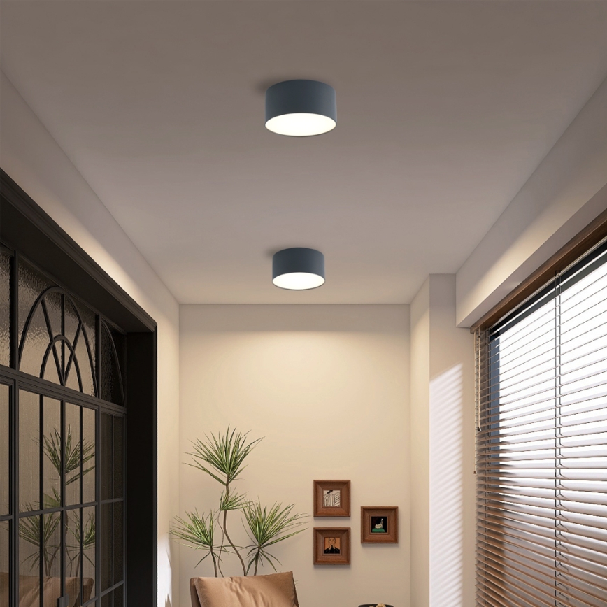 Brilagi - LED vonios kambario lubinis šviestuvas FORIS LED/14W/230V Ø 12 cm, antracito spalvos, IP44