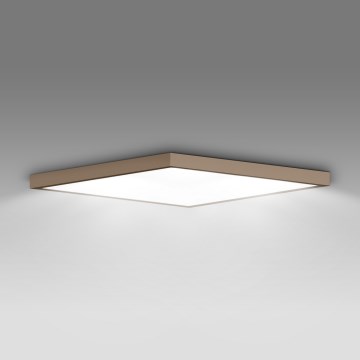 Brilagi - LED lubinis vonios šviestuvas FRAME LED/50W/230V 60x60 cm IP44 smėlinė