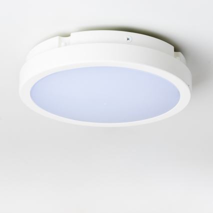 Brilagi - LED lubinis vonios šviestuvas PERA LED/18W/230V diametras 22 cm IP65 balta