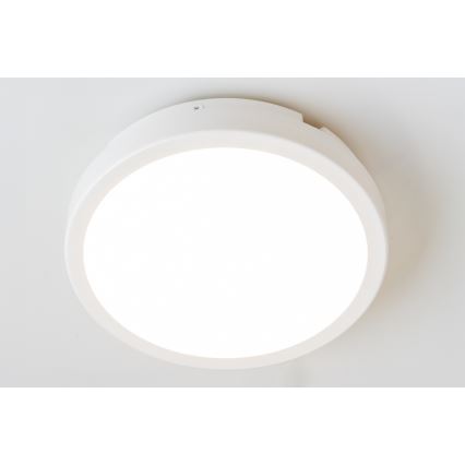 Brilagi - LED lubinis vonios šviestuvas PERA LED/18W/230V diametras 22 cm IP65 balta