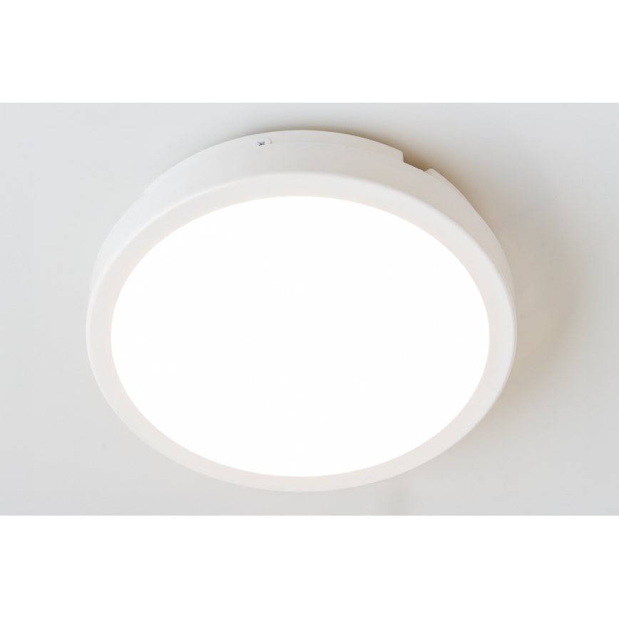 Brilagi - LED lubinis vonios šviestuvas PERA LED/18W/230V diametras 22 cm IP65 balta