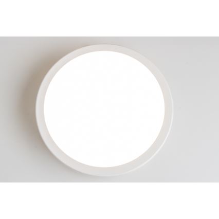 Brilagi - LED lubinis vonios šviestuvas PERA LED/18W/230V diametras 22 cm IP65 balta
