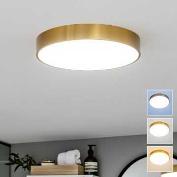 BRILAGI - LED Lubinis vonios šviestuvas POOL LED/36W/230V 3000/4000/5500K Ø 40 cm IP54 auksinė