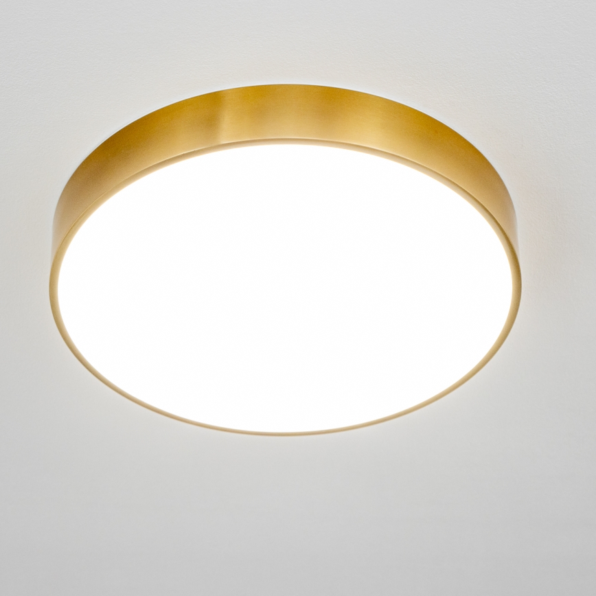 Brilagi - LED vonios lubų šviestuvas POOL LED/36W/230V 3000/4000/5500K skersmuo 40 cm IP54 bronzinis