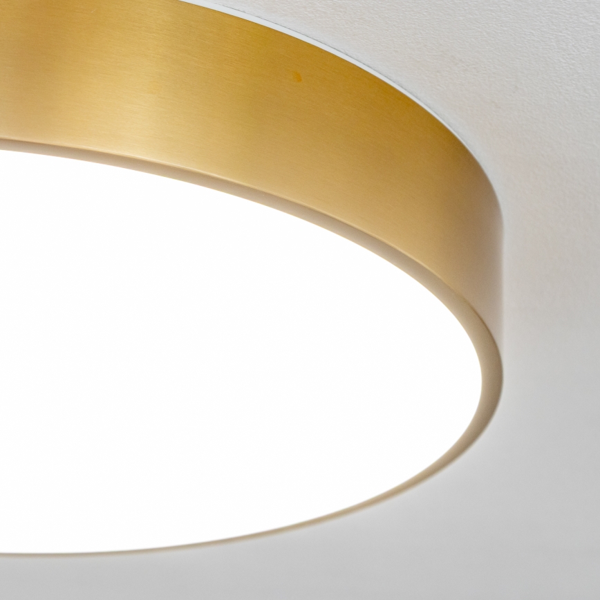 Brilagi - LED vonios lubų šviestuvas POOL LED/36W/230V 3000/4000/5500K skersmuo 40 cm IP54 bronzinis