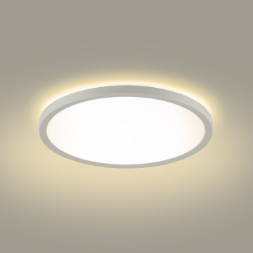 Brilagi - LED lubinis vonios šviestuvas ULTRA SLIM LED/24W/230V 42x42 cm balta IP54