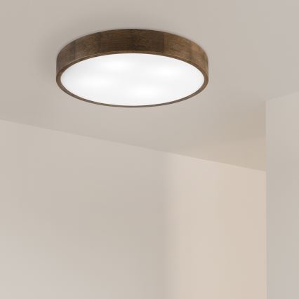 Brilagi - LED Lubų šviesa CARVALHO 4xE27/60W/230V graikinis Ø 57,5 cm