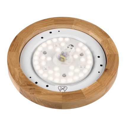 Brilagi - LED Lubų šviestuvas BELLADONNA LED/20W/230V Ø 30 cm baltas/ąžuolas