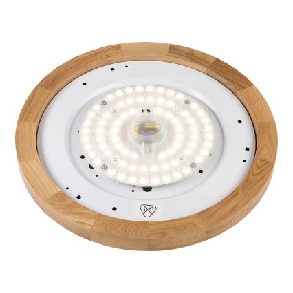 Brilagi - LED Lubų šviestuvas BELLADONNA LED/36W/230V Ø 40 cm baltas/ąžuolas