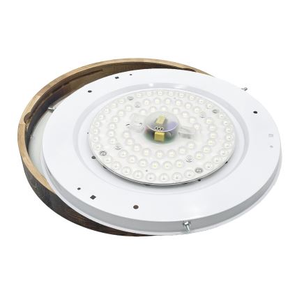 Brilagi - LED lubų šviestuvas CARVALHO SLIM SMOKEY LED/36W/230V, ąžuolo apdaila, skersmuo 47,5 cm