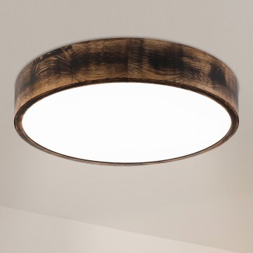 Brilagi - LED lubų šviestuvas CARVALHO SMOKEY LED/36W/230V, ąžuolas, skersm. 47,5 cm