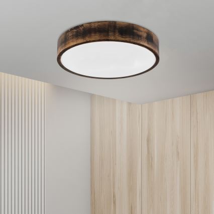 Brilagi - LED lubų šviestuvas CARVALHO SMOKEY LED/36W/230V, ąžuolas, skersm. 47,5 cm