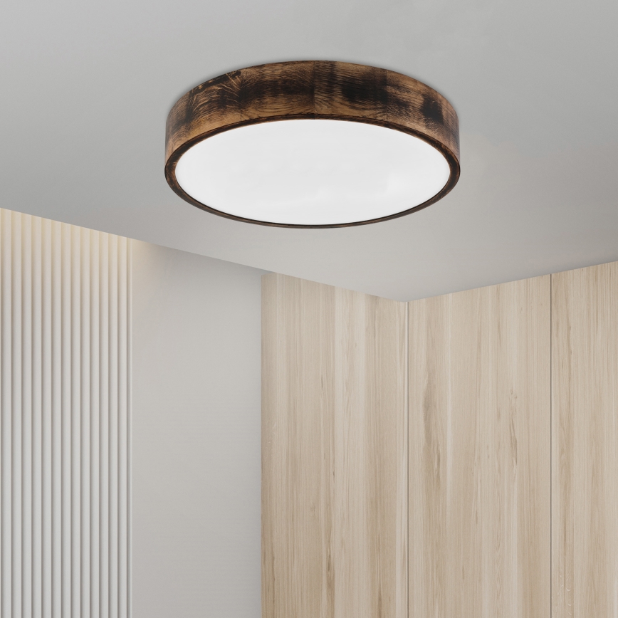 Brilagi - LED lubų šviestuvas CARVALHO SMOKEY LED/36W/230V, ąžuolas, skersm. 47,5 cm