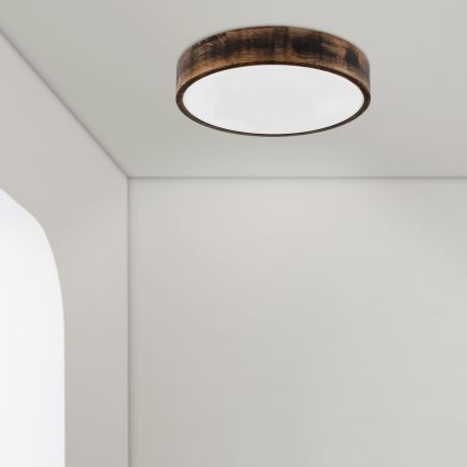Brilagi - LED lubų šviestuvas CARVALHO SMOKEY LED/36W/230V, ąžuolas, skersm. 47,5 cm