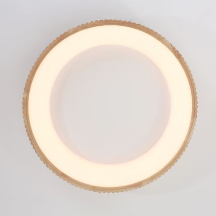 Brilagi - LED lubų šviestuvas FALCON WOOD MODERN LED/40W/230V 3000/4000/6000K skersmuo 60 cm mediena