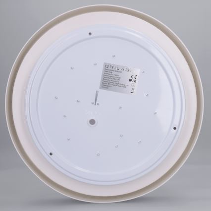 Brilagi - LED lubų šviestuvas MATTEO LED/24W/230V skersmuo 31 cm juodas