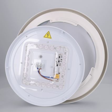 Brilagi - LED lubų šviestuvas MATTEO LED/24W/230V, skersmuo 31 cm, turkio spalvos