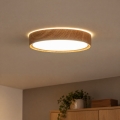BRILAGI - LED lubų šviestuvas NATURA LED/12W/230V 4000K skersmuo 26,3 cm