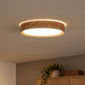 BRILAGI - LED lubų šviestuvas NATURA LED/12W/230V 4000K skersmuo 26,3 cm