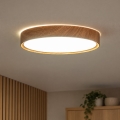 BRILAGI - LED lubų šviestuvas NATURA LED/20W/230V 4000K Ø 33,7 cm