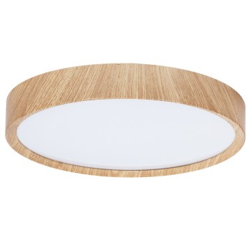 BRILAGI - LED lubų šviestuvas NATURA LED/20W/230V 4000K Ø 33,7 cm