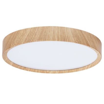 BRILAGI - LED lubų šviestuvas NATURA LED/20W/230V 4000K Ø 33,7 cm