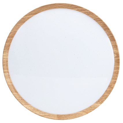 BRILAGI - LED lubų šviestuvas NATURA LED/20W/230V 4000K Ø 33,7 cm