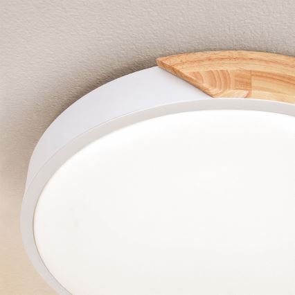 Brilagi - LED lubų šviestuvas PILANA LED/24W/230V ąžuolas/balta skersmuo 30 cm