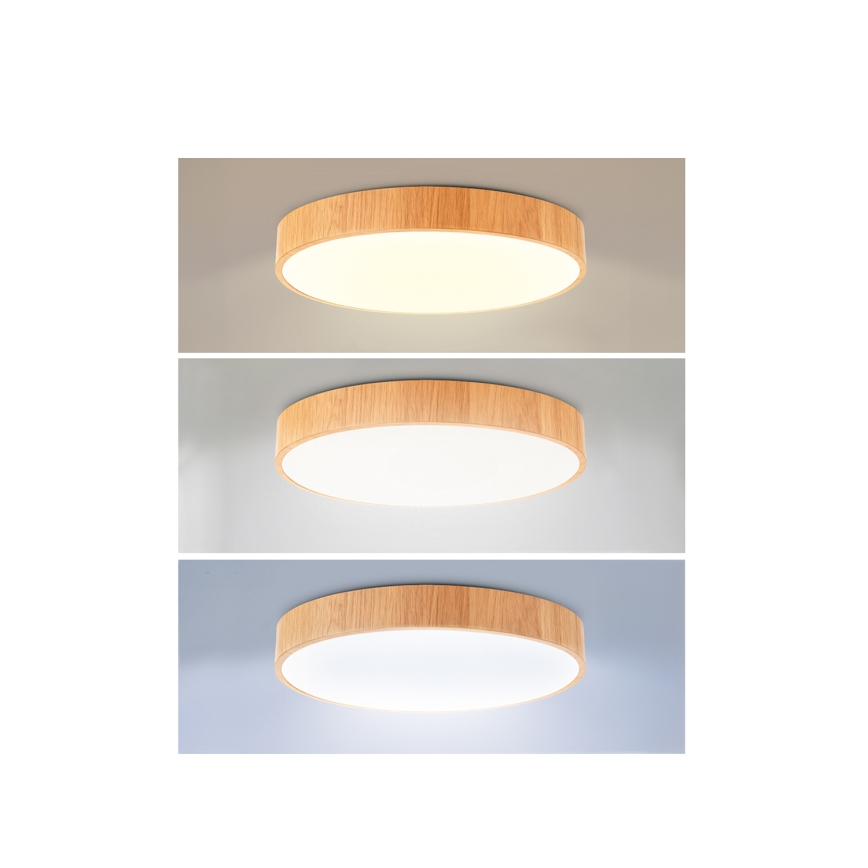 Brilagi - LED lubinis šviestuvas POOL LED/36W/230V 3000/4000/6000K skersmuo 30 cm medžio dekoras
