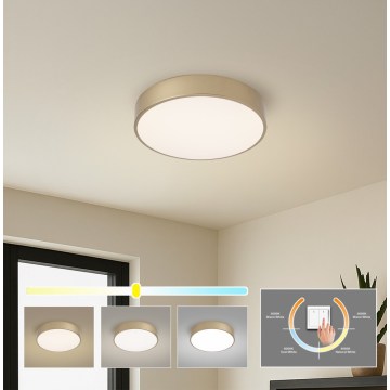 BRILAGI - LED lubų šviestuvas POOL LED/36W/230V 3000/4000/6000K skersmuo 30 cm, auksinis