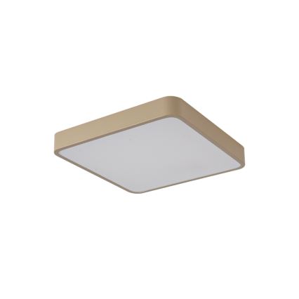 Brilagi - LED lubų šviestuvas POOL LED/48W/230V 3000/4000/6000K 50x50 cm smėlio spalvos