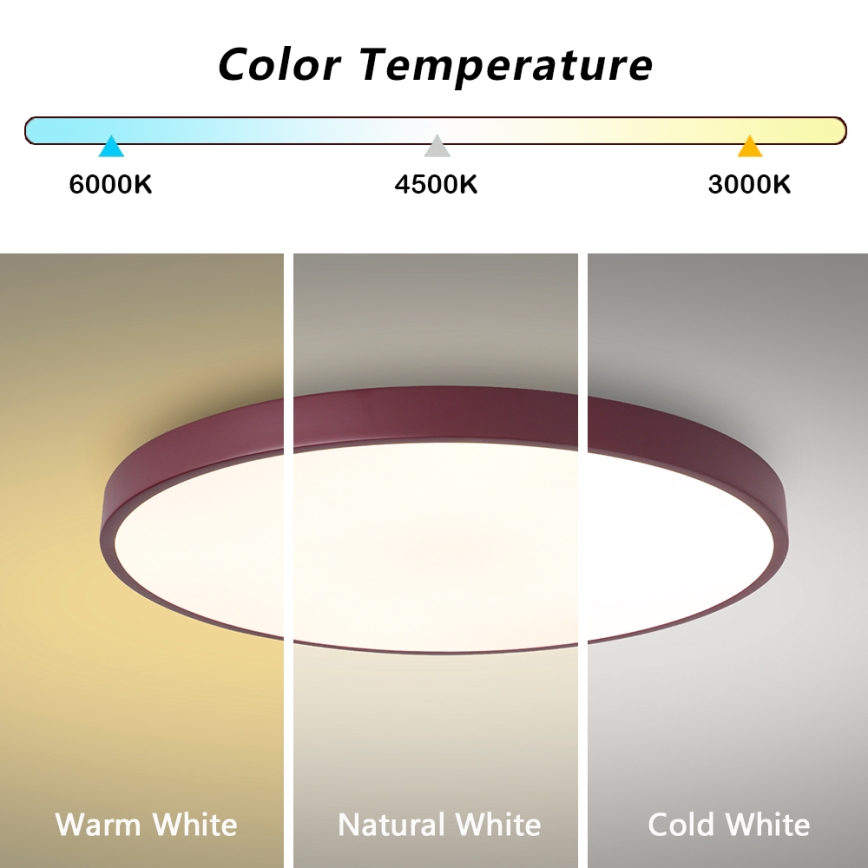 Brilagi - LED lubinis šviestuvas POOL LED/60W/230V 3000/4000/6000K skersmuo 60 cm bordo