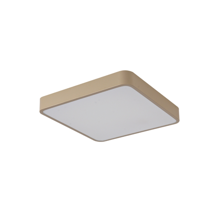 BRILAGI - LED lubų šviestuvas POOL SQUARE LED/48W/230V 3000/4000/6000K 50x50 cm smėlio spalvos