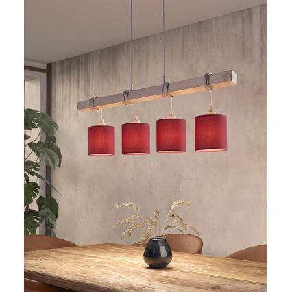 BRILAGI - LED pakabinama liustra ant troselio NUBILA 4xE27/60W/230V pilka/Pompejų raudona