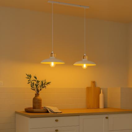 Brilagi - LED Pakabinamas sietynas FLAMENGO 2xE27/60W/230V balta