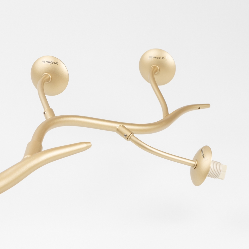 Brilagi - LED Pakabinamas sietynas MISTEL 6xG9/3W/230V auksas