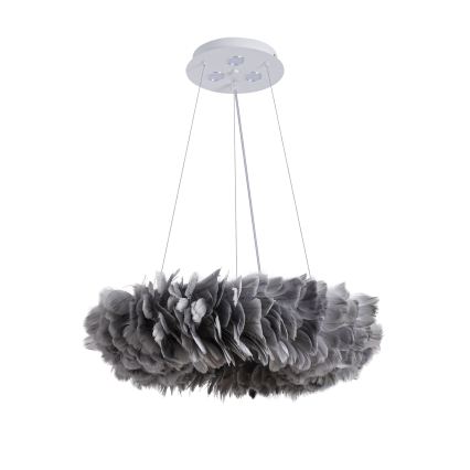 BRILAGI - LED pakabinamas šviestuvas ant laido FEATHER 3xE27/40W/230V + 3xLED/3W, skersmuo 50 cm, pilka