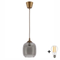 BRILAGI - LED pakabinamas šviestuvas ant laido RETRO GLASS 1xE27/60W/230V skersmuo 14 cm ruda/dūminė pilka