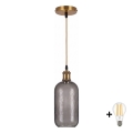 BRILAGI - LED pakabinamas šviestuvas ant laido RETRO GLASS 1xE27/60W/230V Ø 14 cm auksinė/dūminė pilka