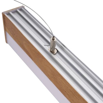 BRILAGI - LED pakabinamas šviestuvas ant troselio GARDALINE LED/100W/230V ąžuolas
