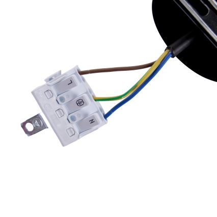 BRILAGI - LED pakabinamas šviestuvas ant troselio GARDALINE LED/100W/230V ąžuolas
