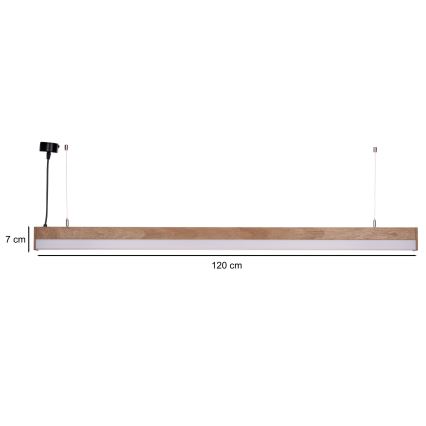 BRILAGI - LED pakabinamas šviestuvas ant troselio GARDALINE LED/100W/230V ąžuolas