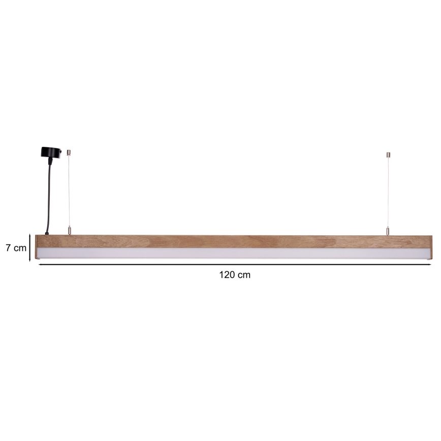 BRILAGI - LED pakabinamas šviestuvas ant troselio GARDALINE LED/100W/230V ąžuolas
