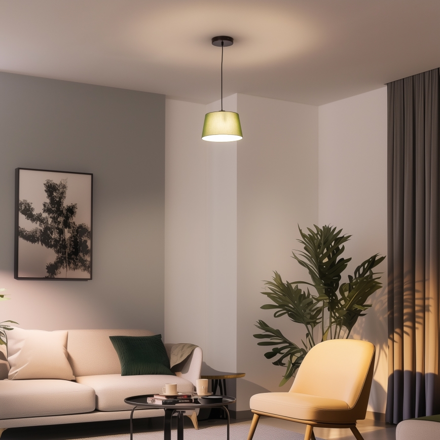 Brilagi - LED pakabinamas šviestuvas su laidu CERIA 1xE27/40W/230V, skersmuo 25 cm, žalia