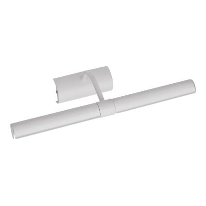 Brilagi - LED paveiklo šviestuvas DANAE 2xE14/4W/230V 3000K balta