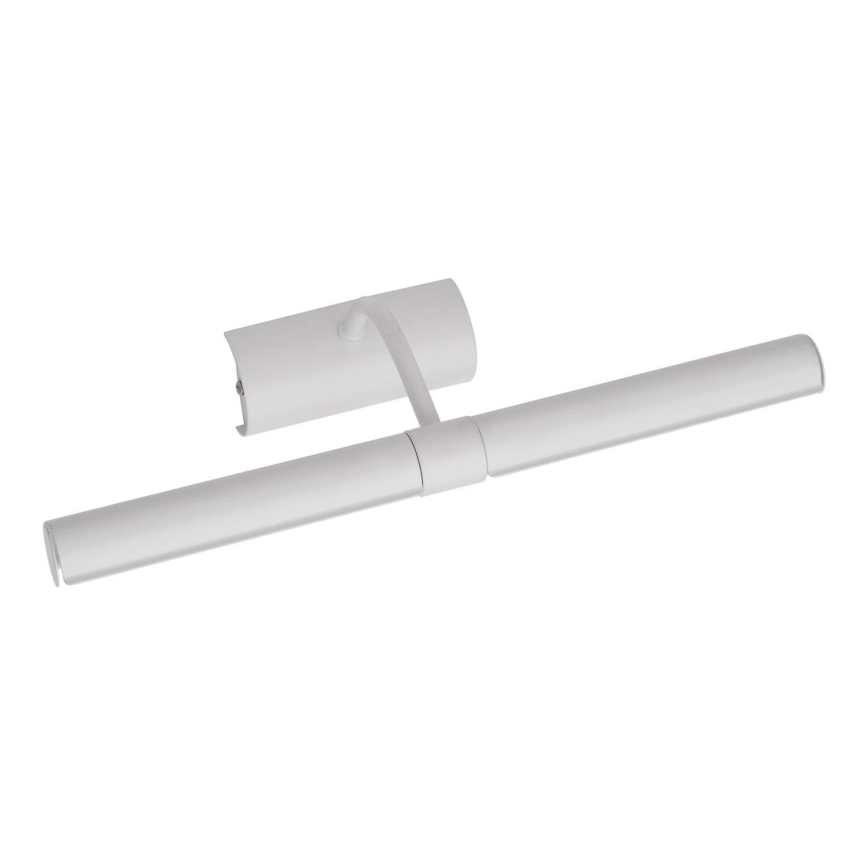 Brilagi - LED paveiklo šviestuvas DANAE 2xE14/4W/230V 3000K balta