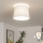 Brilagi - LED paviršinis lubinis šviestuvas CERIA 1xE27/40W/230V skersmuo 30 cm baltas