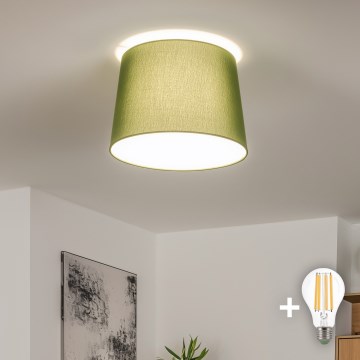 Brilagi - LED paviršinis lubinis šviestuvas CERIA 1xE27/40W/230V skersmuo 30 cm žalias